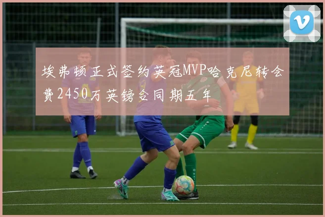 埃弗顿正式签约英冠MVP哈克尼转会费2450万英镑合同期五年